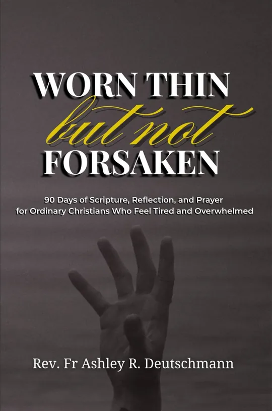 Worn Thin but Not Forsaken book cover